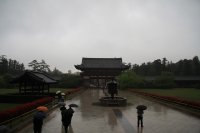 IMG_1016.JPG